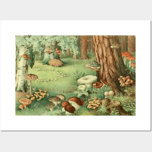 Enchanted Forest Faerie Ring Posters and Art